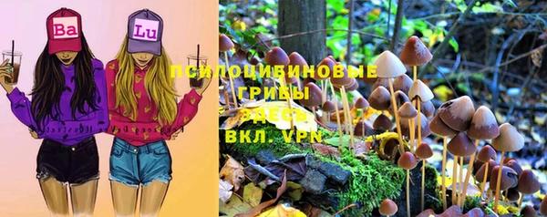 mix Елабуга