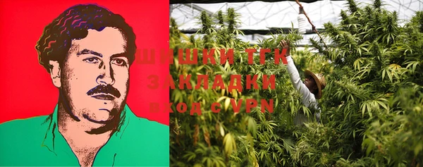 марки lsd Ельня