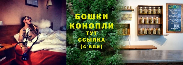 мет Елизово