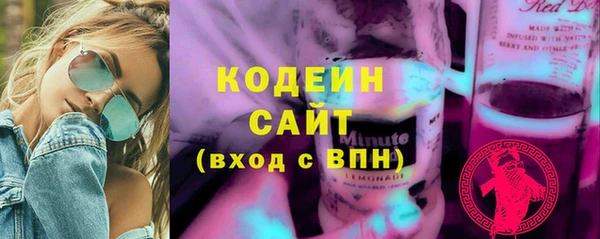 мет Елизово