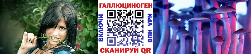 Купить где  Горнозаводск  Галлюциногенные грибы Magic Shrooms 